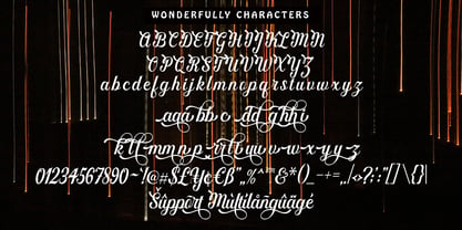 Wonderfully Script Font Poster 6