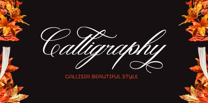 Gallisia Script Font Poster 2