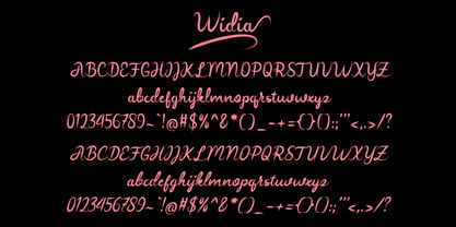 Widia Hand Brush Font Poster 2