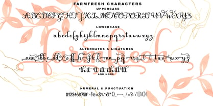 Farmfresh Script Fuente Póster 2