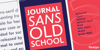 Journal Sans Old School Font Poster 7