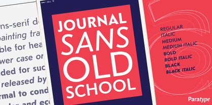 Journal Sans Old School Fuente Póster 7