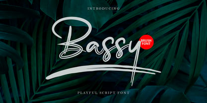 Bassy Font Poster 1