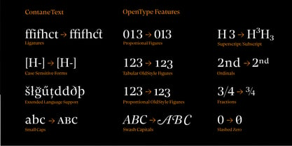 Contane Text Font Poster 11