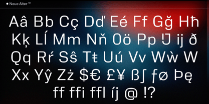 Neue Alter Font Poster 7