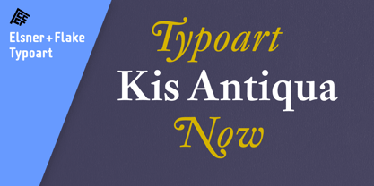 Kis Antiqua Now TB Pro Font Poster 4