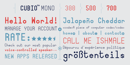 Cubio Mono Font Poster 6