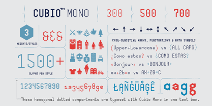 Cubio Mono Font Poster 5