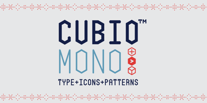 Cubio Mono Font Poster 1