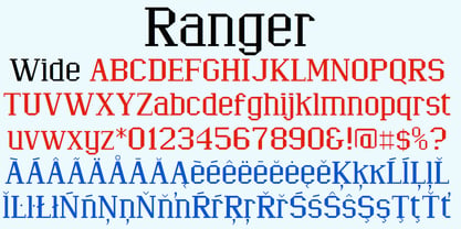 Ranger Police Poster 4
