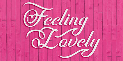 Feeling Lovely Font Poster 6