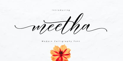 Meetha Script Font Poster 7