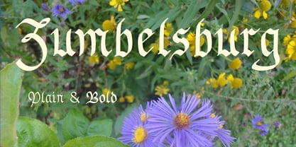 Zumbelsburg Font Poster 1