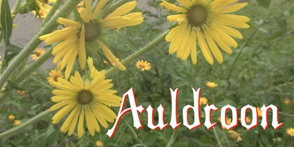 Auldroon Font Poster 1