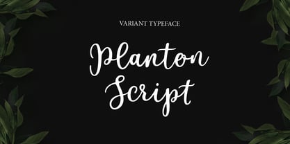 Planton Script Font Poster 6
