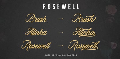 Rosewell Font Collection Font Poster 3