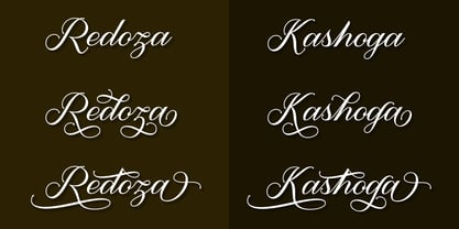 Maughan Script Font Poster 5