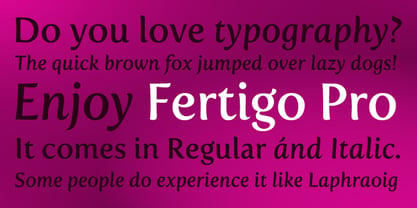 Fertigo Pro Font Poster 1