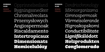 Nomada Slab Font Poster 4