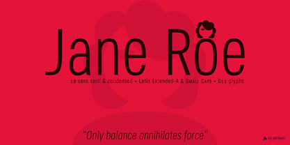 Jane Roe Font Poster 5