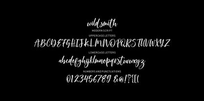 Wild Smith Font Poster 1