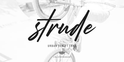 Strude Font Poster 14