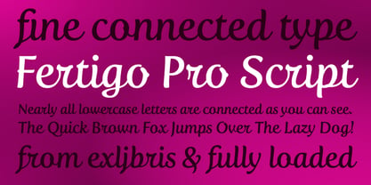 Fertigo Pro Script Font Poster 1