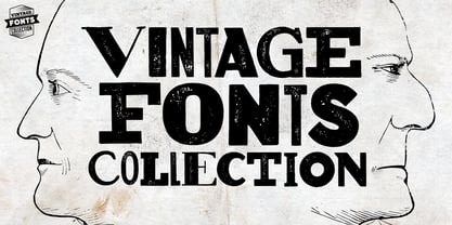 Vintage Fonts Collection Font Poster 8