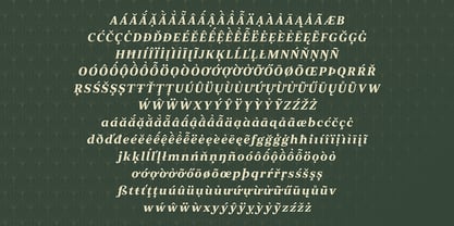 JT Douro Serif Font Poster 7