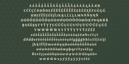 JT Douro Serif Font Poster 6