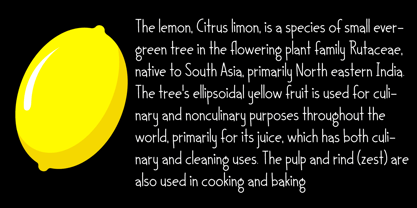 Joking Lemon Font Poster 3
