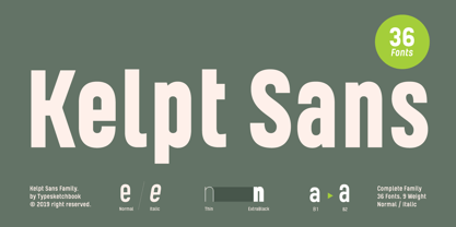 Kelpt Sans Font Poster 12