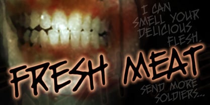 Fresh Meat BB Font Poster 1