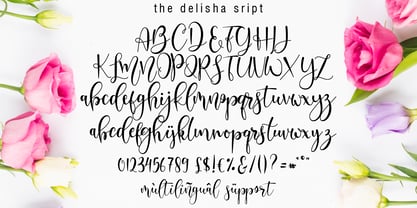 Delisha Font Poster 3