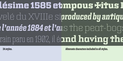 Bourgeois Slab Font Poster 4