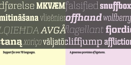 Bourgeois Slab Font Poster 5