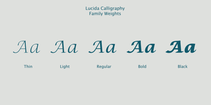 Lucida Calligraphy Font Poster 2