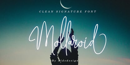 Mollaroid Signature Font Poster 5