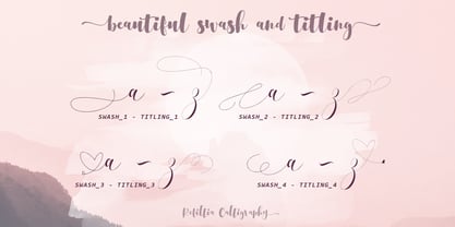 Refillia Calligraphy Font Poster 8