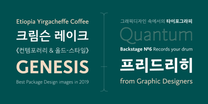 RyuGothic Font Poster 6