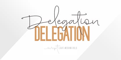 Delegation Font Poster 8
