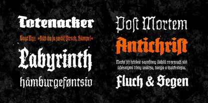 XXII InAshes Font Poster 2