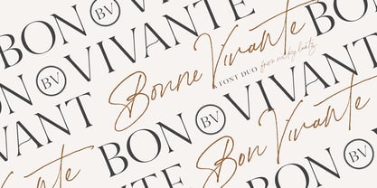 Bon Vivant Family Font Poster 1