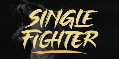 Single Fighter Font Poster 9