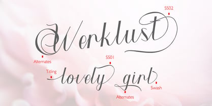 Werklust Font Poster 6