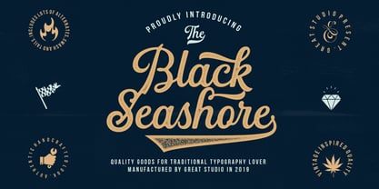 Black Seashore Font Poster 11