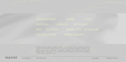 Juxta Sans Mono Font Poster 12