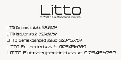 Litto Font Poster 2