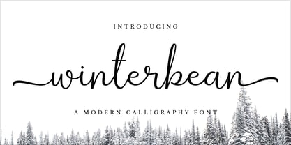 Winterbean Font Poster 11