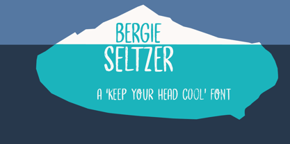 Bergie Seltzer Police Affiche 5